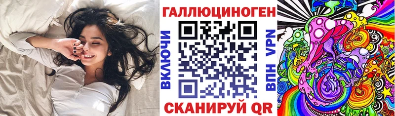 shop состав  как найти наркотики  MEGA как зайти  Щёкино  Псилоцибиновые грибы Psilocybine cubensis 